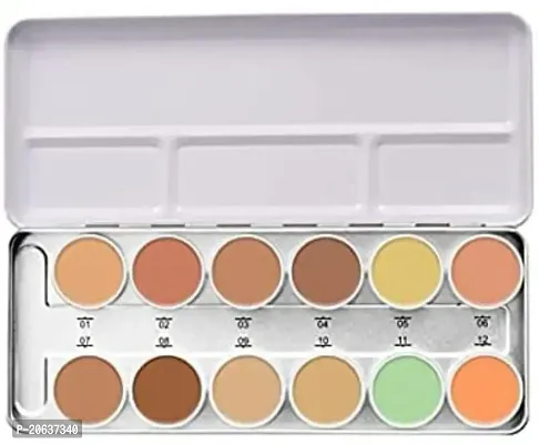 Professional Concealer Palette Full Coverage 12 Shades