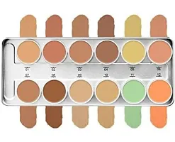 Professional Concealer Palette Full Coverage 12 Shades-thumb2