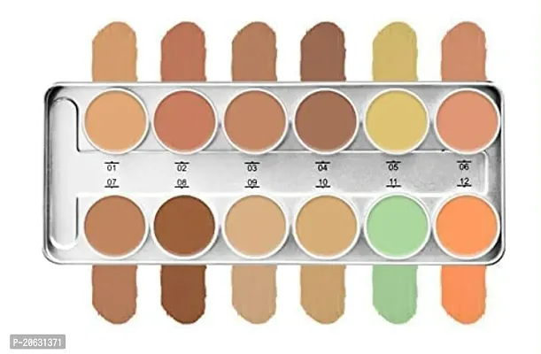 Random-Mac Professional 12 Color Foundation Concealer Palette-thumb0