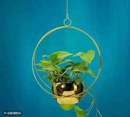 Handicrafts Metal Hanging Flower Pot