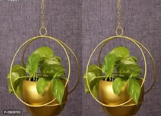 Decorative Metal Hanging Flower Pot Pack of 2