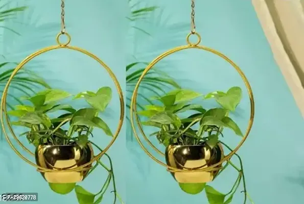 Decorative Metal Hanging Flower Pot Pack of 2