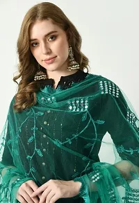 womens net dupatta-thumb1