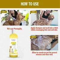 Altressa Anti Tick N Flea Pet Shampoo for Hair Rejuvenation, pH Balanced, Naturally Organic Dog Shampoo for Smelly Dogs Grooming Product Lemon Fragrance Anti-Dandruff, Anti-itching, Pet Shampoo 500 ml-thumb2