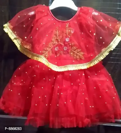 Classic Net Embroidered Dresses for Kids Girls