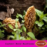 Red Cliff Sundried Kashmiri Morel Mushroom | Kanne Gucchi/Guchhi Mashrum | Dried Black Morchella | Rich in Vitamin D, Good Antioxidant  Helps in Weight...-thumb3