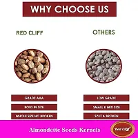 Red Cliff Almondette Kernels | Charoli Dry Fruits | Chironji Seeds Organic | Chiraunji Dana | (Almondette Kernels | 200g |)-thumb2