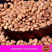 Red Cliff Almondette Kernels | Charoli Dry Fruits | Chironji Seeds Organic | Chiraunji Dana | (Almondette Kernels | 200g |)-thumb3