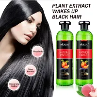 Fruit Vinegar Gel Hair Color Natural Hair Color Dye for Black Hair Dye(500ml x 2) - Black-thumb1