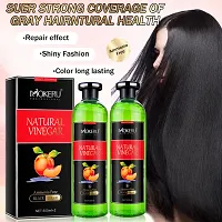 Fruit Vinegar Gel Hair Color Natural Hair Color Dye for Black Hair Dye(500ml x 2) - Black-thumb3