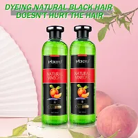 Natural Fruit Vinegar Professional Gel hair Color 500 ML Pack of 2-thumb1