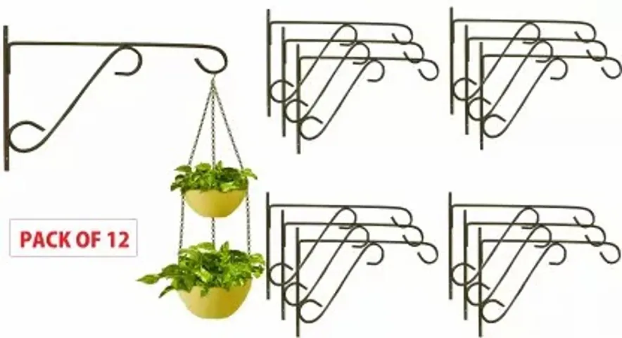 Must Have Plant & Planters 