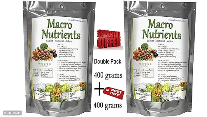 Macro Nutrients Calcium Magnesium Sulphur Fertilizer For All Home Plants And Gardens (400 And 400 G)