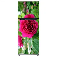 Psychedelic Collection Potted Red Rose with Green leavesDecorative Extra Large PVC Vinyl Fridge Sticker (Multicolor, 60 cm X 160 cm)_FD609_WP-thumb2