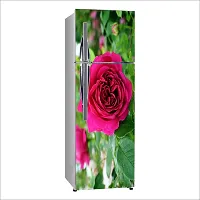 Psychedelic Collection Potted Red Rose with Green leavesDecorative Extra Large PVC Vinyl Fridge Sticker (Multicolor, 60 cm X 160 cm)_FD609_WP-thumb1