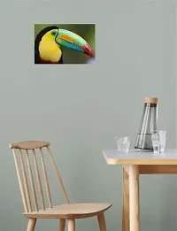 Psychedelic Collection Toucan Birds Multicolor Wall Posters 18x12-thumb3