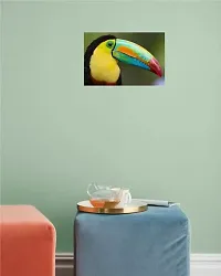 Psychedelic Collection Toucan Birds Multicolor Wall Posters 18x12-thumb1