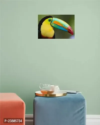 Psychedelic Collection Toucan Birds Multicolor Wall Posters 18x12-thumb2