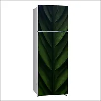 Psychedelic Collection Decorative Close up Plant stem Banana Leaf Biology Plant Extra Large Fridge Sticker Double Single Door Decorative Fridge Sticker (PVC Vinyl, Multicolor, 60 cm X 160 cm)-thumb1