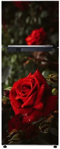 Psychedelic Collection so Wet red Rose, Flower, Dark backgroundDecorative Extra Large PVC Vinyl Fridge Sticker (Multicolor, 60 cm X 160 cm)-thumb2