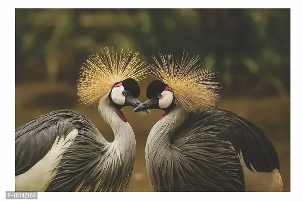 Trendy Grey Crowned Crane Multicolor Wall Posters 18X12-thumb0