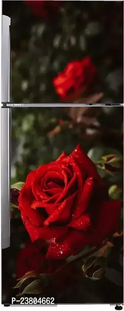 Psychedelic Collection so Wet red Rose, Flower, Dark backgroundDecorative Extra Large PVC Vinyl Fridge Sticker (Multicolor, 60 cm X 160 cm)