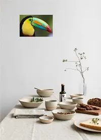 Psychedelic Collection Toucan Birds Multicolor Wall Posters 18x12-thumb2