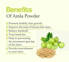 Pure Amla Powder For Hair Growth | 100% Natural, No Preservatives (100 Gram)-thumb1