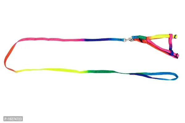 Cat Harness Multicolour