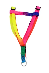 Cat Harness Multicolour-thumb4