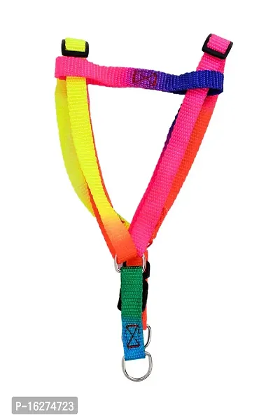 Cat Harness Multicolour-thumb5