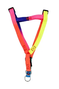 Cat Harness Multicolour-thumb3