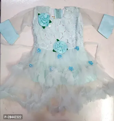 Trendy Baby Girl Net Frock Dress