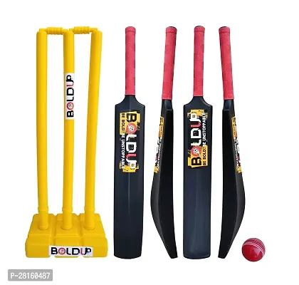 BOLDUP Combo Cricket Plastic Bat, Ball And Wicket Set For Men And Women  1 Set-thumb0