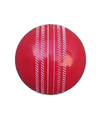 BOLDUP Combo Cricket Plastic Bat, Ball And Wicket Set For Men And Women  1 Set-thumb3
