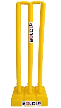 BOLDUP Combo Cricket Plastic Bat, Ball And Wicket Set For Men And Women  1 Set-thumb4