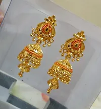 Elegant Earrings for Women - 2 Pair-thumb1