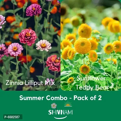 High Quality Open Pollinated Summer Flower Seeds -Pack Of 2, GMO Free