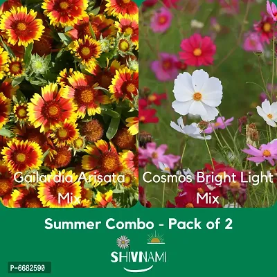 High Quality Open Pollinated Summer Flower Seeds -Pack Of 2, GMO Free