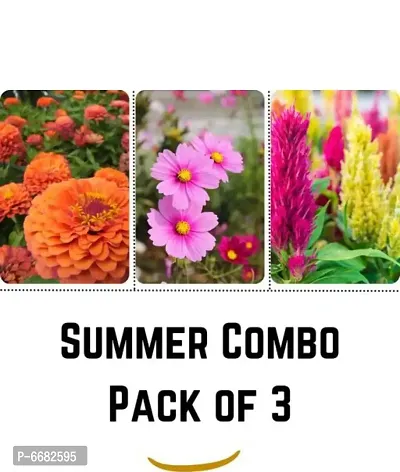 Summer Flowers -Pack Of 3