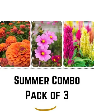 Pack Of 3- Summer Flowers