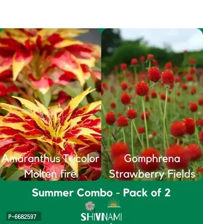 Summer Flower Seeds Combo-thumb0