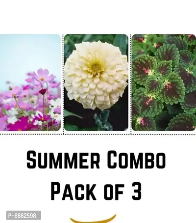 Summer Flower -Pack Of 3-thumb0