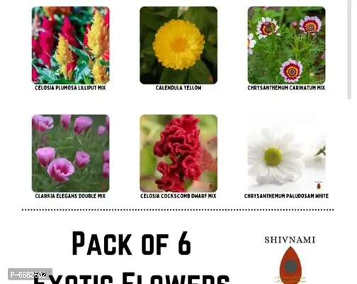 Exotic Flower Seeds - Pack Of 6