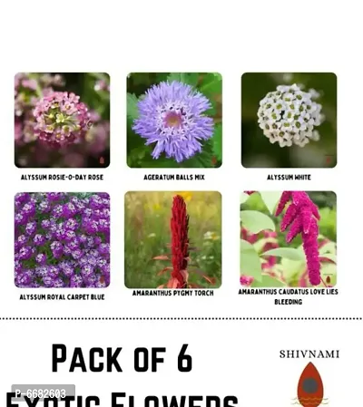 Exotic Flower Seeds - Pack Of 6