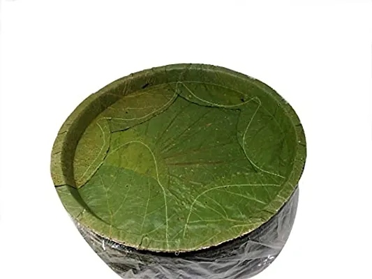 Natural Sal Leaf Disposable Plates