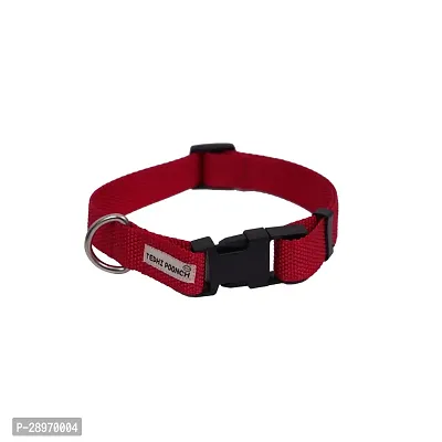 Premium Basic Collar Plain with Adjustable Belt for Dogs Watermelon Red Small-thumb0