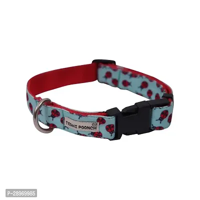 Premium Adjustable Printed Collar for Dogs  Puppies Beetles Galore Small