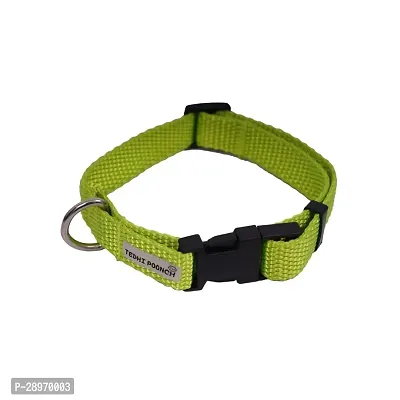 Premium Basic Collar Plain with Adjustable Belt for Dogs Neon Craze Small