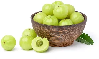 Fast-Fruiting Amla Tree - Quick Harvests-thumb1